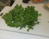 春菊の胡麻和え作り方5写真