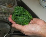 春菊の胡麻和え作り方18写真