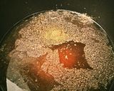 簡単❗牛丼作り方1写真