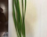気まぐれシェフのプチプチ鶏団子作り方1写真