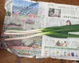 長ネギステーキ作り方1写真