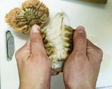 簡単☆うちわえびのゆで方&むき方作り方9写真