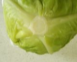 キャベツ1個丸ごと使ったロールキャベツ作り方5写真
