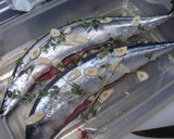 ちょいとおしゃれに　秋刀魚のハーブ焼き作り方4写真