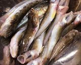 朝釣りーハゼの簡単サクサク揚げ作り方1写真
