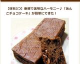 材料3つ ガトーショコラン作り方8写真