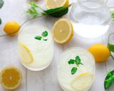 レモン塩麹で作る発酵レモンサワー作り方4写真
