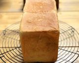天然酵母の手作り方作り方37写真