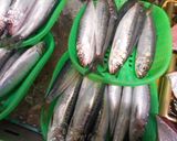 いわしだんご鍋作り方1写真