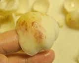 百合根のポタージュ☺クリームチーズ風味作り方3写真
