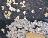 にらたっぷりきのこ入り麻婆豆腐作り方2写真