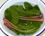 かぶの葉で野沢菜漬け風漬け物作り方2写真