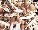 作り置き♪アレンジ自在♪半干しきのこ炒め作り方6写真