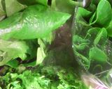 豚肉と⭐ｸﾞﾘｰﾝ野菜のｻﾗﾀﾞ作り方1写真