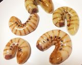 白玉団子でカブトムシの幼虫1(グロ)作り方4写真
