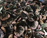 皮も柔らか☆花豆の煮豆作り方2写真