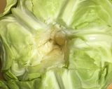 ロールキャベツ用のキャベツの茹で方作り方2写真