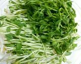 レンジで簡単☆もやしと豆苗の和え物作り方2写真