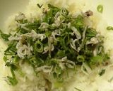 甘めが美味しい☆しらすの混ぜご飯♪作り方4写真