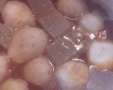 ほこほこ柔らかい小芋のこんにゃく炒め煮作り方6写真