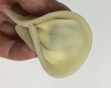 餃子の皮de簡単おいしい〜ラビオリ♡作り方4写真
