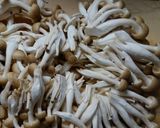イカと白菜とニラ もやしのコンソメ醤油煮作り方3写真