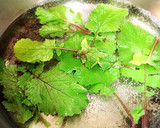 水菜と二十日大根の中華風サラダ作り方1写真
