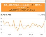 バレンタイン★簡単半生ガトーショコラ作り方10写真