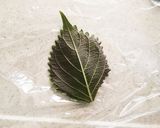 簡単すぎる 大葉おにぎり作り方2写真