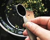 ケールの焼き飯作り方6写真