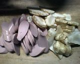 キクイモとギョニソでフィッシュ＆チップス作り方4写真