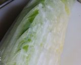 冷凍だけ減塩！漬けない白菜の浅漬風作り方3写真