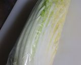 冷凍だけ減塩！漬けない白菜の浅漬風作り方1写真