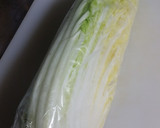 冷凍だけ減塩！漬けない白菜の浅漬風作り方1写真
