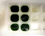 離乳食初期　ブレンダーでほうれん草作り方5写真