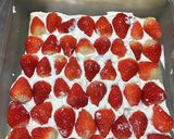 スコップケーキでクリスマスツリーケーキ作り方2写真