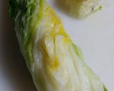 冷凍だけ減塩！漬けない白菜の浅漬風作り方5写真