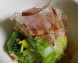 冷凍だけ減塩！漬けない白菜の浅漬風作り方9写真