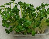 残り野菜で作る☆節約納豆チャーハン作り方6写真