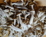 鶏むね肉と蒟蒻とニラ もやしのピリ辛煮♡作り方3写真