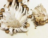 簡単 クリームチーズdeリゾット作り方3写真