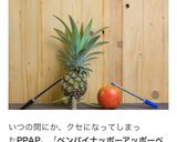 パン・パイナッポー・アッポー・パン作り方10写真