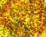 あまり野菜何でもＯＫ☆野菜チヂミ作り方4写真
