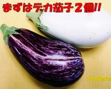 でかっ!☆茄ステーキぃ～ずヾ(ﾟ＿ﾟi)作り方1写真