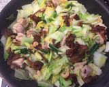 簡単☆干しえびと鶏肉と白菜のポカポカ煮作り方2写真