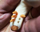 白玉団子でカブトムシの幼虫３(グロ強め)作り方3写真