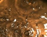 感謝祭: 手作りクランベリーソース作り方3写真