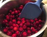 感謝祭: 手作りクランベリーソース作り方6写真
