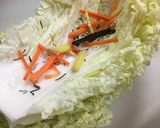 ジップロックで白菜の漬物作り方4写真