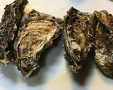 簡単レンジで殻付き蒸し牡蠣作り方1写真